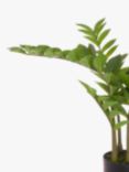 Floralsilk Artificial Zamiifolia Tree, H75cm, Green