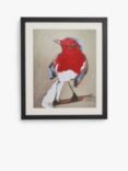 John Lewis Erin McGee 'Robin' Framed Print & Mount, 54.5 x 64.5cm, Red