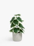 John Lewis Artificial Variegated Fig Plant in Cement Pot, Green/Grey