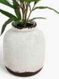 John Lewis Artificial Olive in Ceramic Vase, White/Green