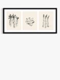 John Lewis Lucy Deaner 'Garden Trio' Framed Print, 48.5 x 103.5cm, Black