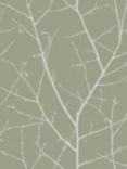 Graham & Brown Boreas Wallpaper, Sage