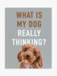 Allsorted What Is My Dog Thinking? Book