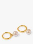 Orelia Luxe Freshwater Pearl Drop Hoop Earrings, Gold