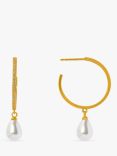 Orelia Pave Peardrop Pearl Drop Hoop Earrings, Gold