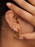Orelia Molten Mid Size Hoop Earrings, Gold