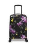 Ted Baker Citrus Bloom Moulded Shell Small Trolley Case, Black/Multi