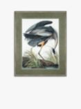 John Lewis John James Audubon 'Blue Heron' Framed Print & Mount, 101 x 81cm, Grey/Multi