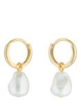 Ted Baker Periaa Pearl Huggie Earrings, Gold/Pearl