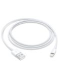 Apple Lightning to USB Cable (2024), 1m