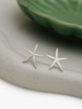 Orelia Large Starfish Stud Earrings, Silver