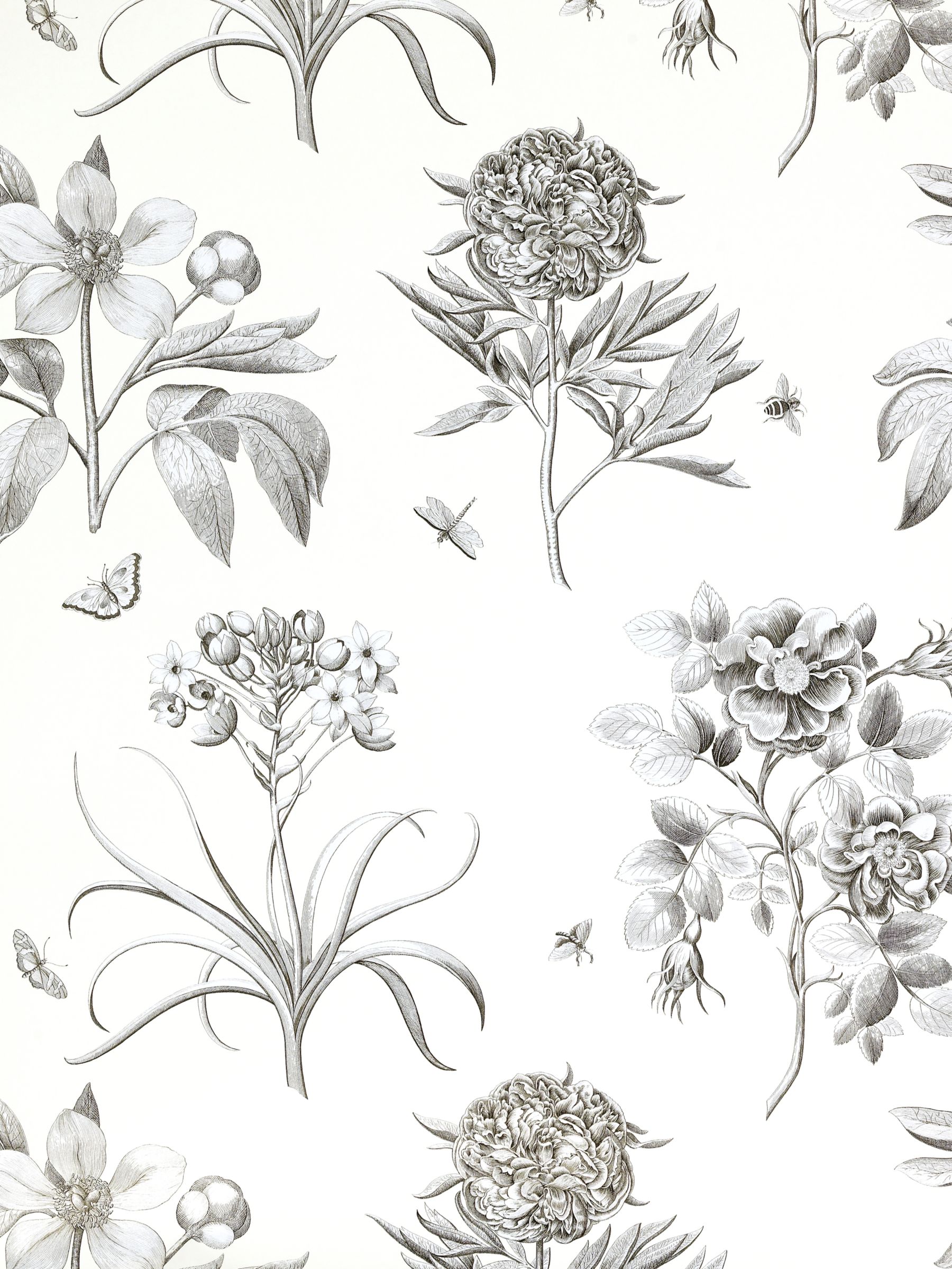 Sanderson Wallpaper, Etchings and Roses DPFWER106, Black
