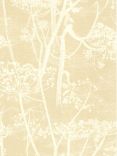 Cole & Son Cowparsley Wallpaper, Beige / Cream, 66/7049