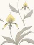 Cole & Son Orchid Wallpaper, Yellow on White, 95/10057
