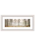 Mike Shepherd - 'Morning Woodland' Framed Print, 52 x 107cm