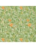 Morris & Co. Arbutus Wallpaper, Green / Terracotta, Dmcw210408