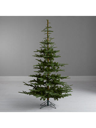 John Lewis & Partners Argyle Green Fir Christmas Tree, 7ft