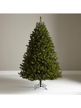John Lewis Highland Fir Christmas Tree, 7ft