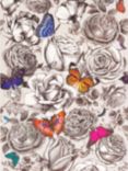 Osborne & Little Butterfly Garden Paste the Wall Wallpaper, W6592-01