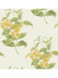 Cole & Son Madras Violet Wallpaper, 100/12059