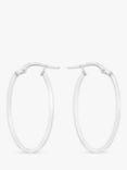 IBB 9ct White Gold Oval Creole Earrings, White Gold