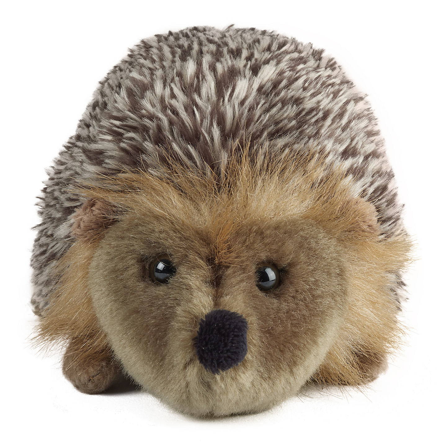 I Want To Buy A Hedgehog