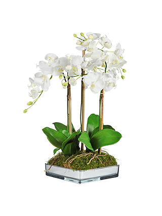 Artificial Peony Phalaenopsis in Mirrored Planter, White