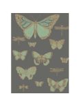 Cole & Son Butterflies & Dragonflies Wallpaper, 103/15067