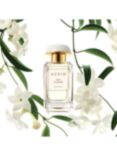 AERIN Ikat Jasmine Eau de Parfum