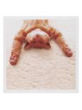 Woodmansterne Cat Lying On His Back Greeting Card
