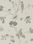 Sanderson Woodland Chorus Wallpaper, Sepia / Neutral DWOW215704