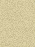 Cole & Son Pebble Wallpaper, Latte 106/2024