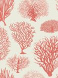 Cole & Son Seafern Wallpaper, Coral 107/2011