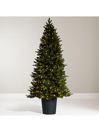 John Lewis & Partners Bala Pre-Lit Potted Fir Christmas Tree, 7ft