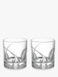 John Lewis Grosseto Cut Crystal Glass Tumblers, 290ml, Set of 2, Clear