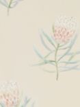 Sanderson Protea Flower Wallpaper, Dart216329