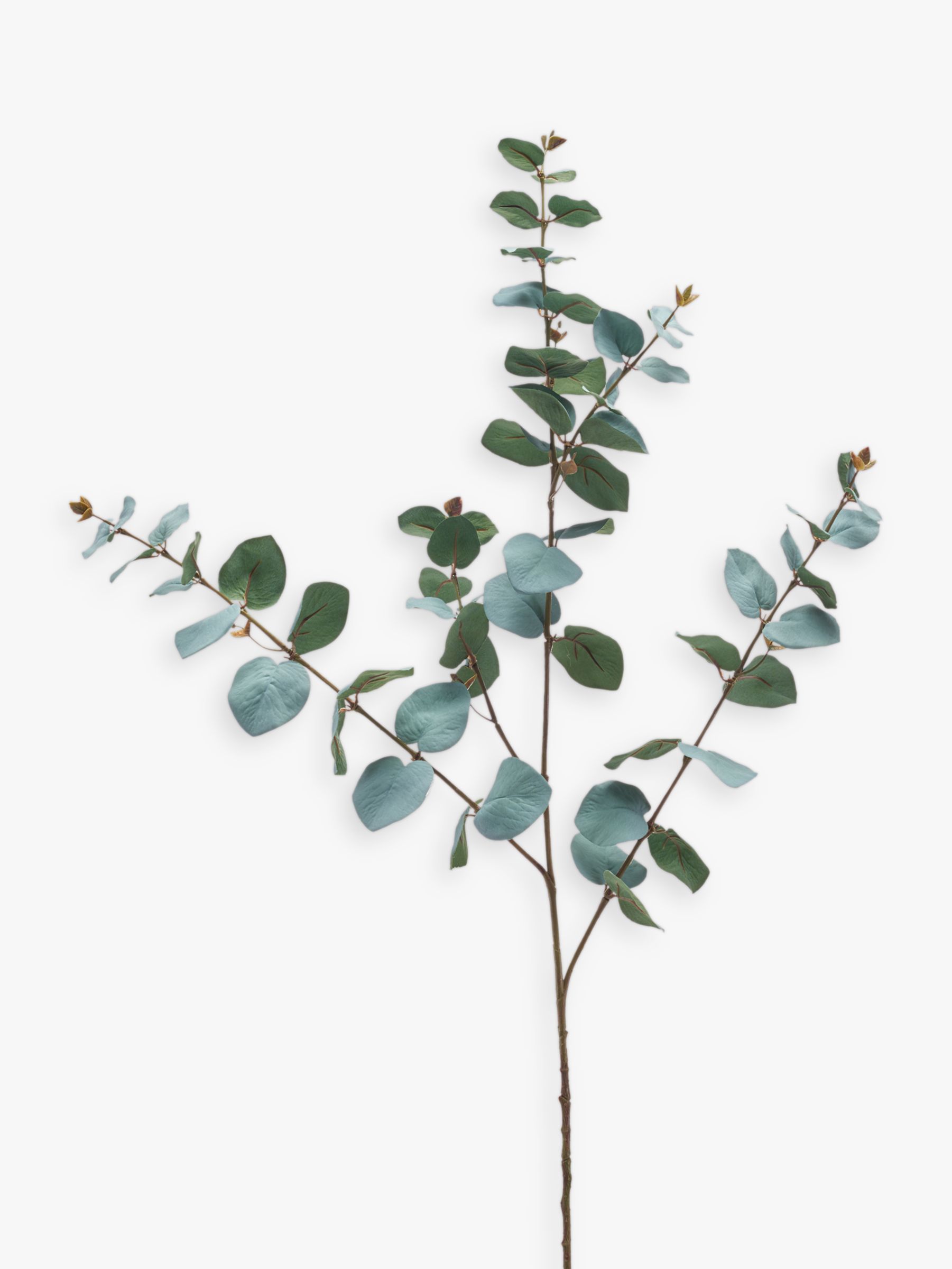 Peony Artificial Eucalyptus Single Stem