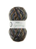 West Yorkshire Spinners Signature 4 Ply Yarn, 100g, Mallard