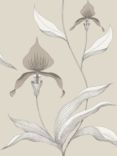 Cole & Son Orchid Wallpaper, Linen and White 95/10058