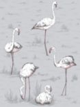 Cole & Son Flamingos Wallpaper, 112/11040