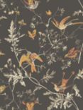 Cole & Son Hummingbirds Wallpaper, 112/4017