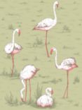Cole & Son Flamingos Wallpaper, 112/11038