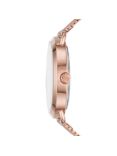 Michael Kors Women's Portia Mesh Bracelet Watch