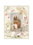 Bothy Threads Wildlife Squirrel Cross Stitch Kit