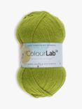 West Yorkshire Spinners ColourLab DK Yarn, 100g, Pear Green