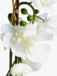 John Lewis Artificial Large White Orchid
