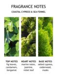 Molton Brown Coastal Cypress & Sea Fennel Bath Salts, 300g