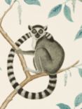 Sanderson Ringtailed Lemur Wallpaper, DGLW216665