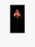 Flamingo II Framed Print & Mount, 101 x 51cm, Black/Pink