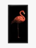 Flamingo I Framed Print & Mount, 101 x 51cm, Black/Pink